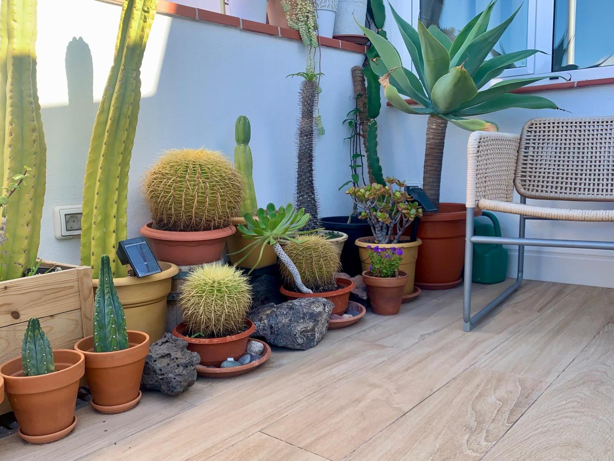 Appartement Atico Con Terraza, Vistas Panoramicas Y Parking à Santa-Cruz de Ténérife Extérieur photo