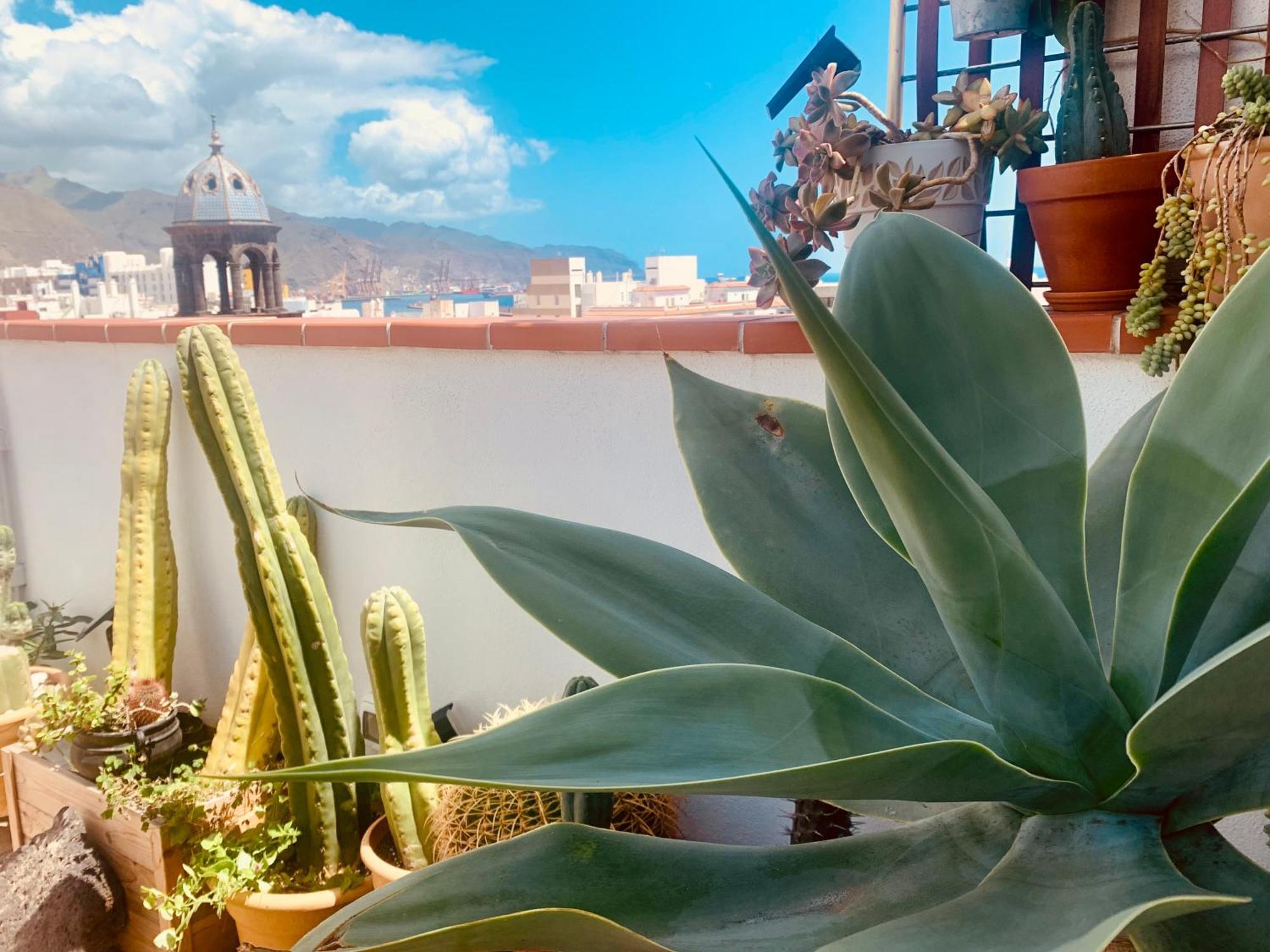 Appartement Atico Con Terraza, Vistas Panoramicas Y Parking à Santa-Cruz de Ténérife Extérieur photo