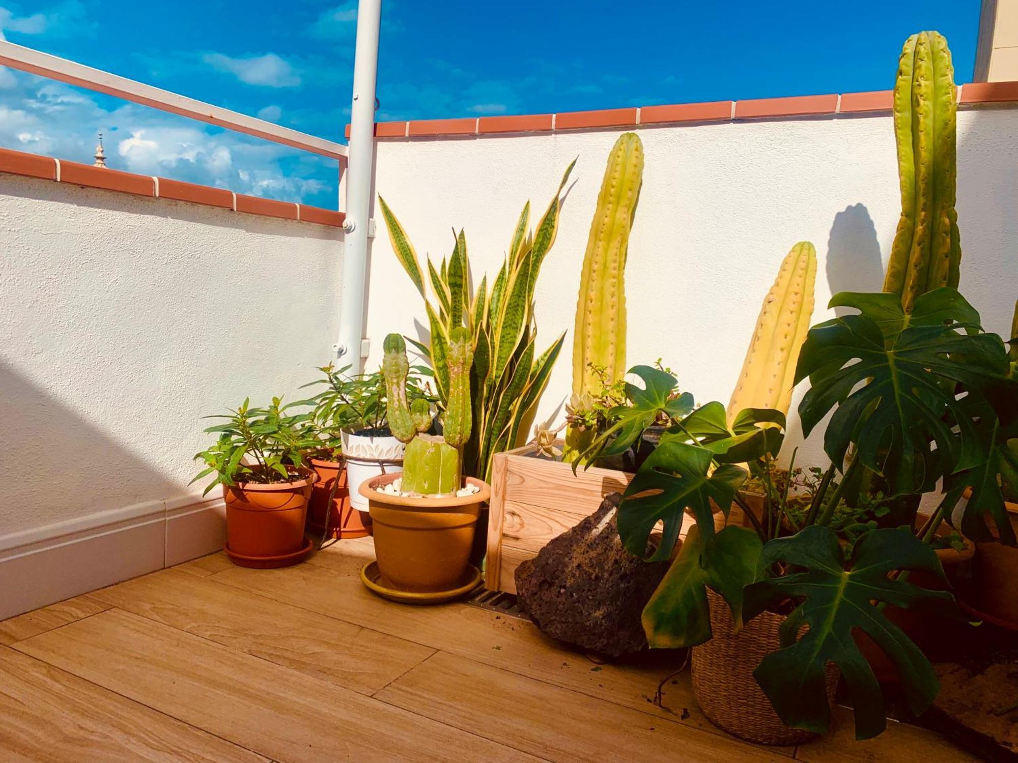 Appartement Atico Con Terraza, Vistas Panoramicas Y Parking à Santa-Cruz de Ténérife Extérieur photo